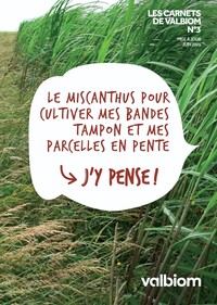 Guide - Le miscanthus.jpg