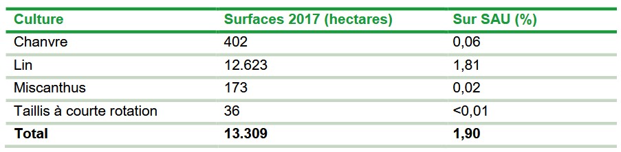 Surfaces cultures.jpg