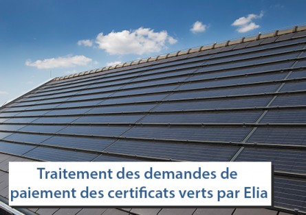 Délais de paiement des certificats verts par Elia