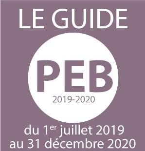 Logo Guide PEB 2019
