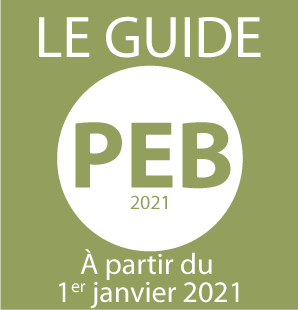 Logo Guide PEB2021